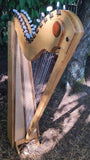 34-String ParaHarp, Wooden Paraguayan-style lever harp for sale, April 2026. (Front View)