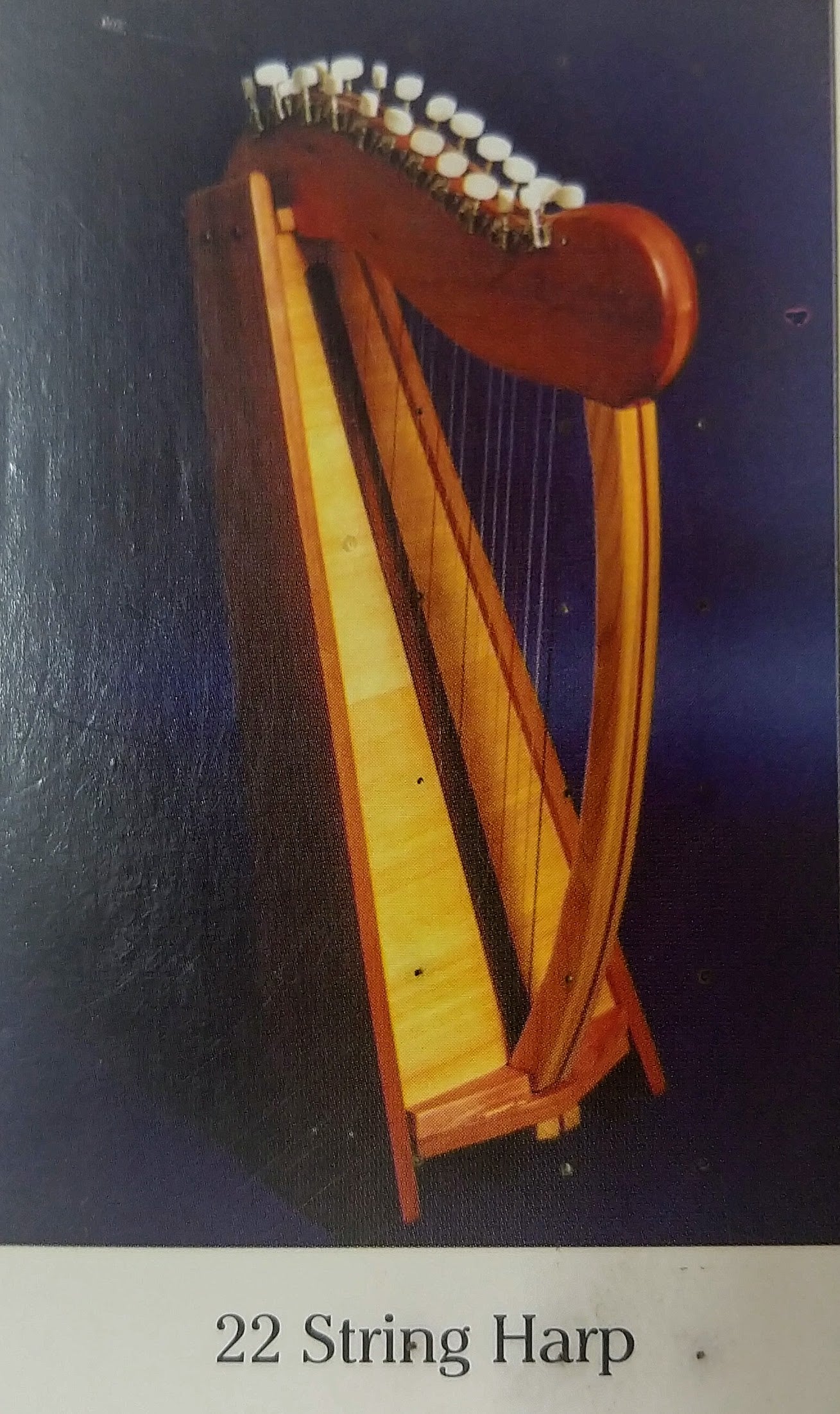Paraguayan harp - Wikipedia